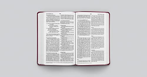 ESV Large Print Value Thinline Bible (TruTone, Raspberry, Floral Design)