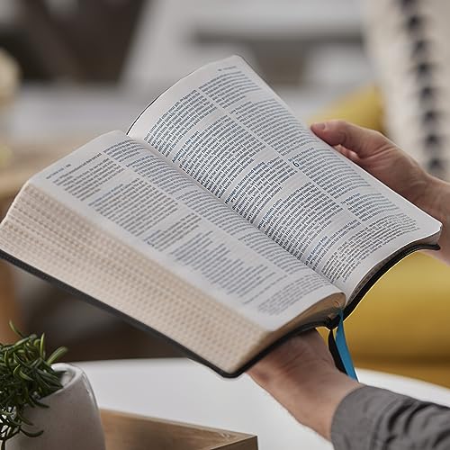 NKJV, Large Print Thinline Reference Bible, Blue Letter, Maclaren Series, Leathersoft, Brown, Comfort Print: Holy Bible, New King James Version