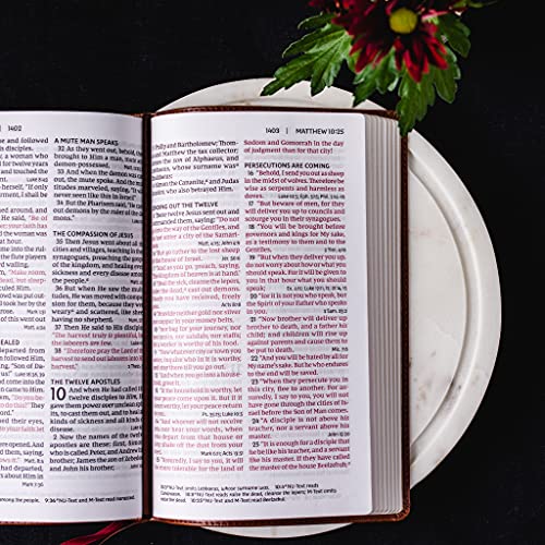 NKJV, End-of-Verse Reference Bible, Personal Size Large Print, Leathersoft, Purple, Red Letter, Comfort Print: Holy Bible, New King James Version